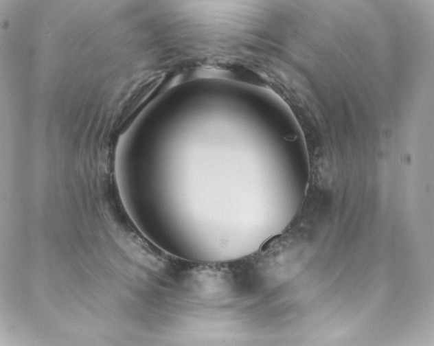 X0000089460756200706151433