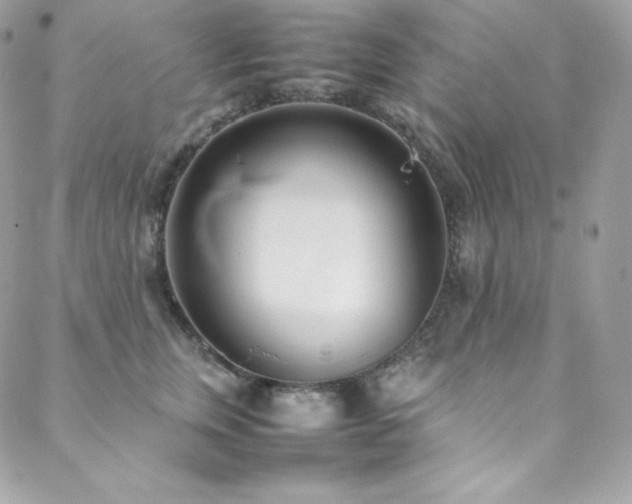 X0000089460759200706151433