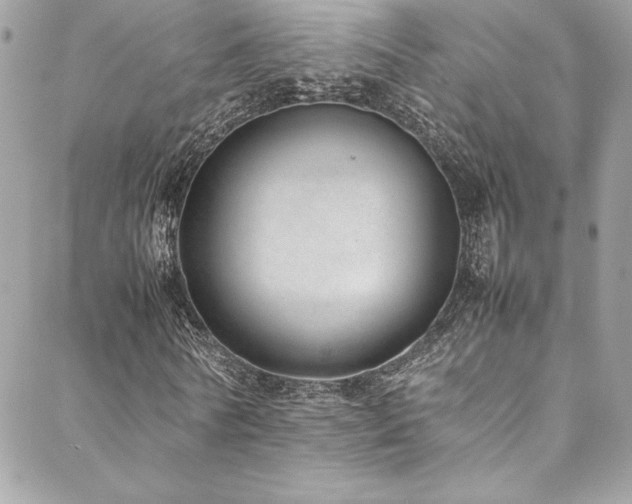 X0000089460770200706151433