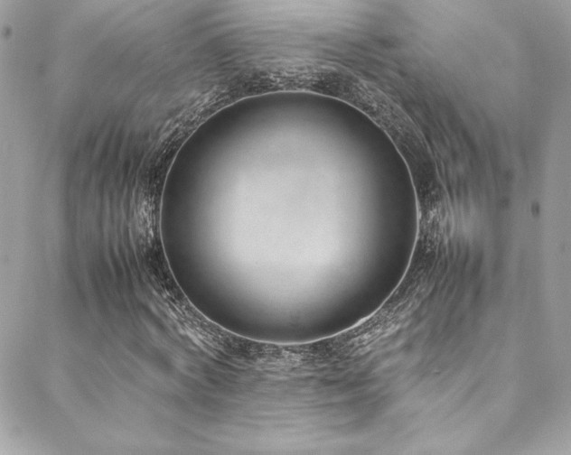 X0000089460772200706151433