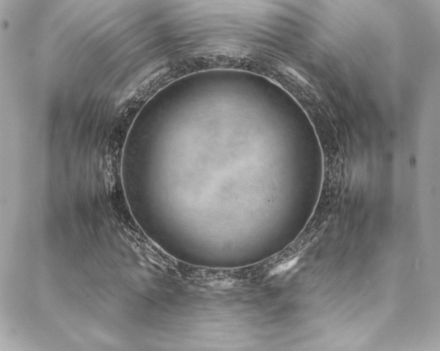 X0000089460774200706151433
