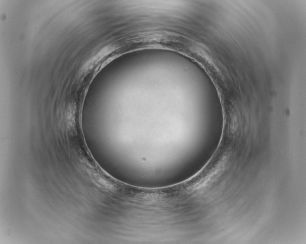 X0000089460778200706151433