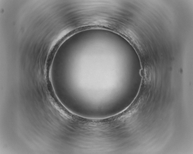 X0000089460780200706151433