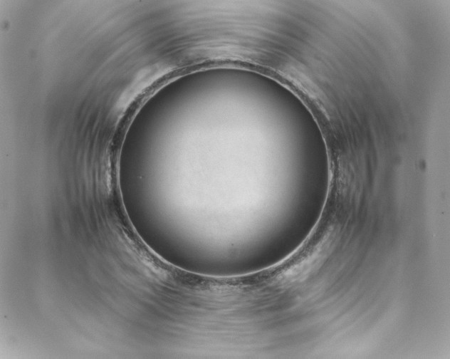X0000089460782200706151433