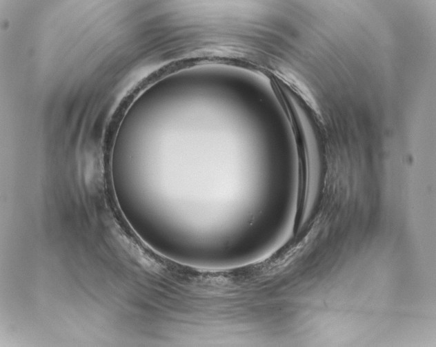 X0000089460784200706151433