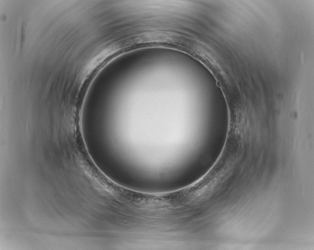 X0000089460786200706151433