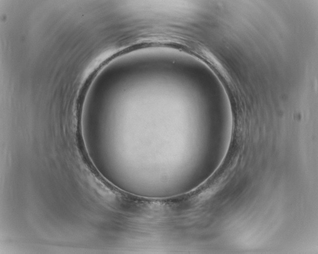 X0000089460787200706151433