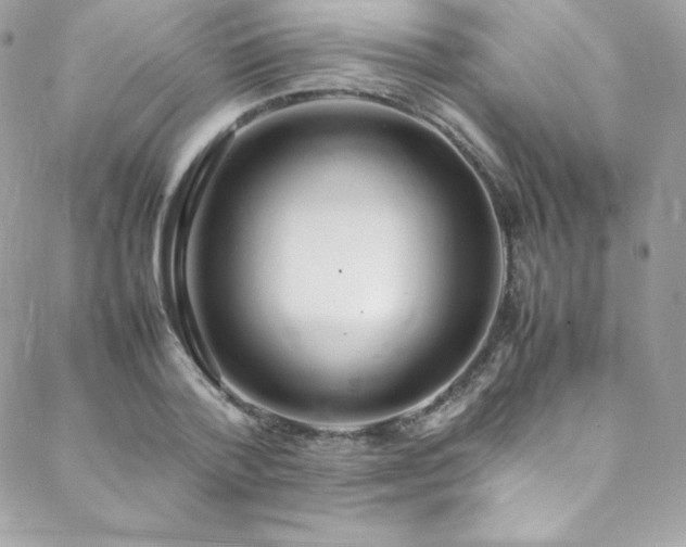 X0000089460788200706151433