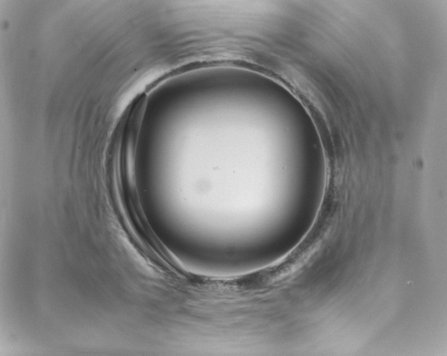 X0000089460789200706151432