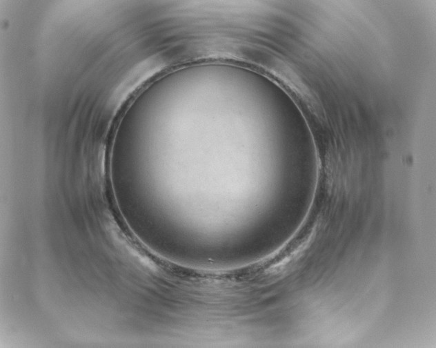 X0000089460790200706151432