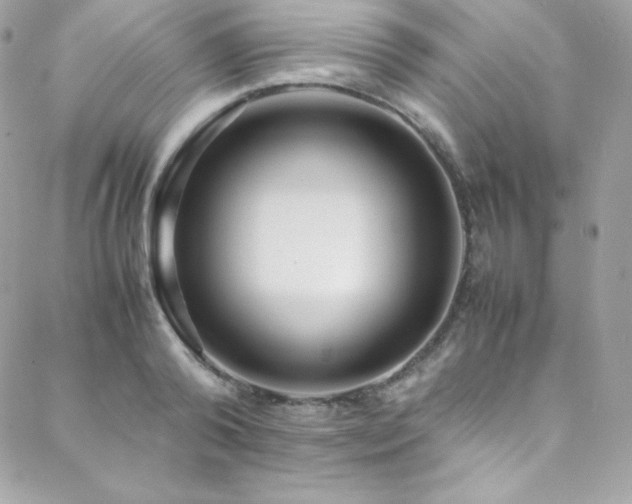 X0000089460792200706151432