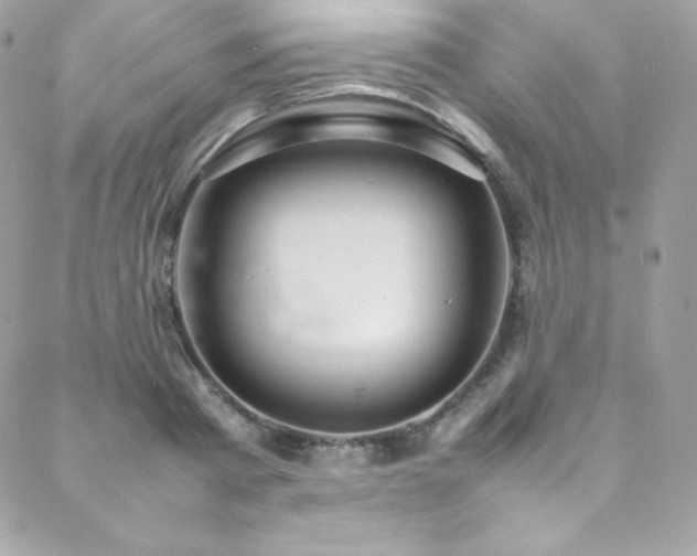 X0000089460793200706151432