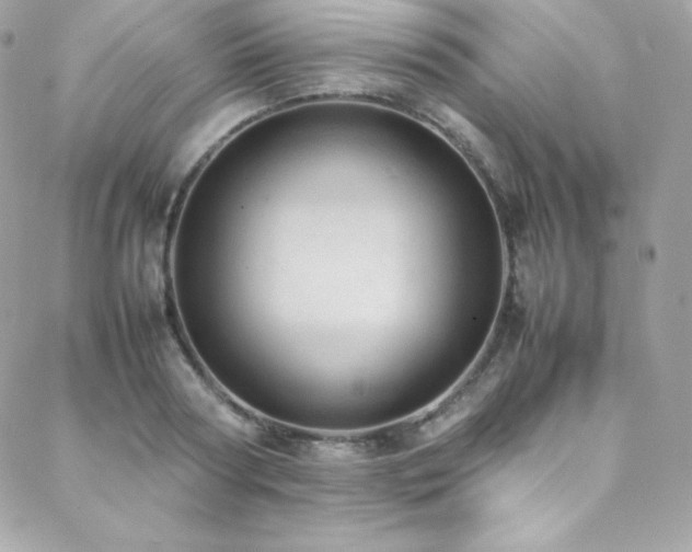 X0000089460794200706151432
