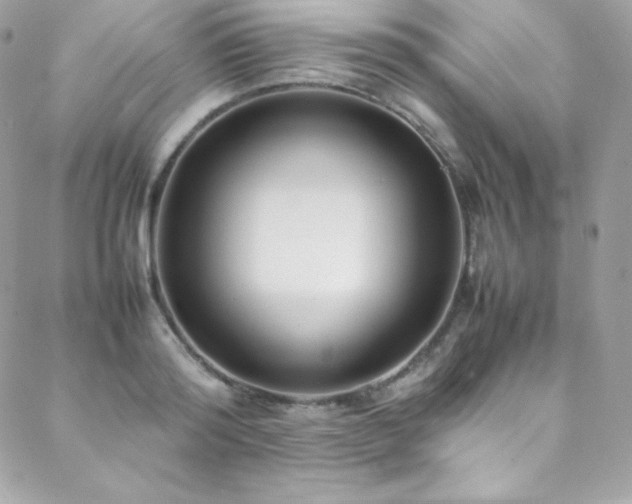 X0000089460796200706151432