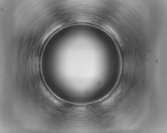 X0000089460798200706151432