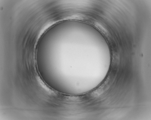X0000089460800200706151432