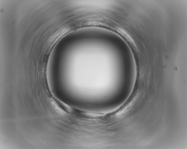 X0000089460801200706151432