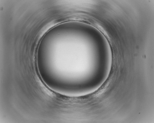 X0000089460803200706151432