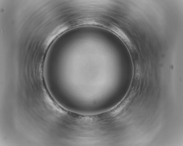 X0000089460806200706151432