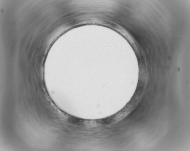 X0000089460807200706151432