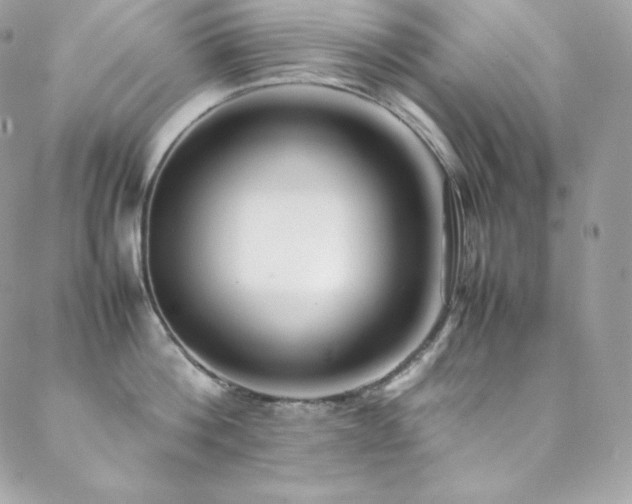 X0000089460812200706151432