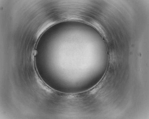 X0000089460814200706151432