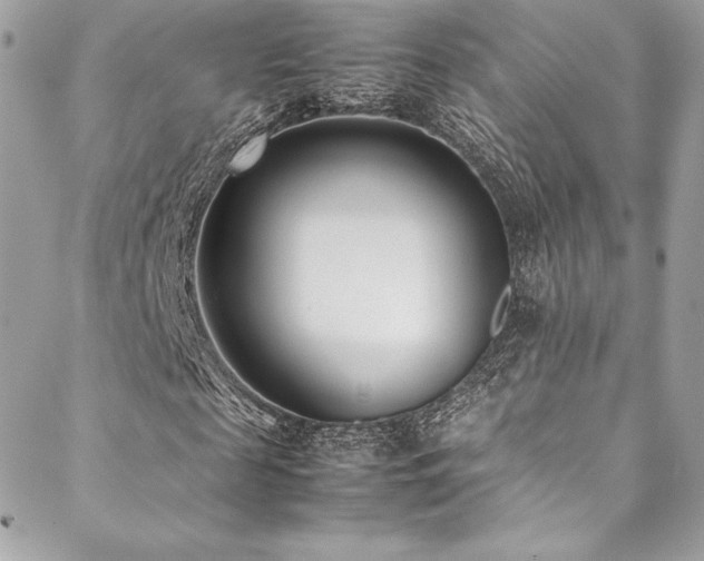 X0000089460817200706151431