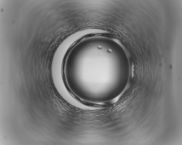 X0000089460818200706151431