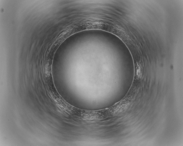 X0000089460819200706151431
