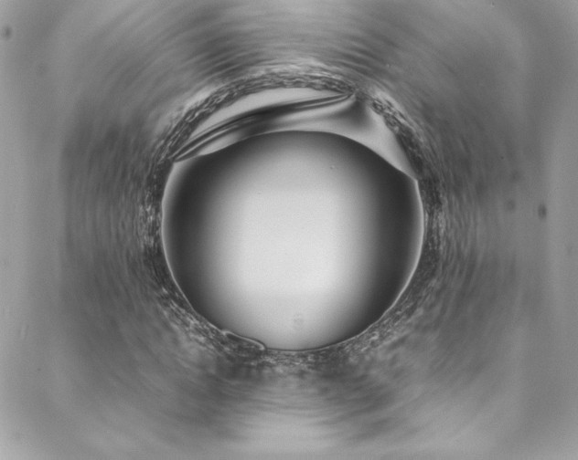 X0000089460822200706151431