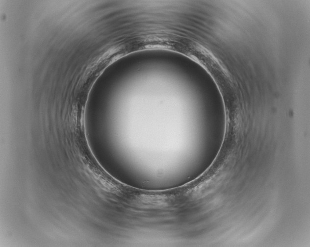 X0000089460825200706151431