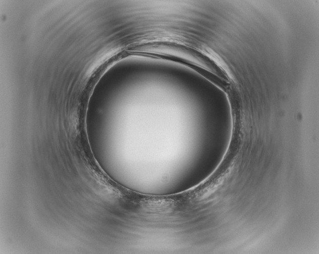 X0000089460826200706151431
