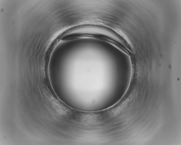 X0000089460830200706151431