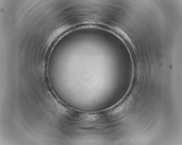 X0000089460831200706151432