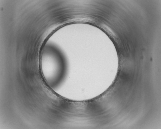 X0000089460836200706151432