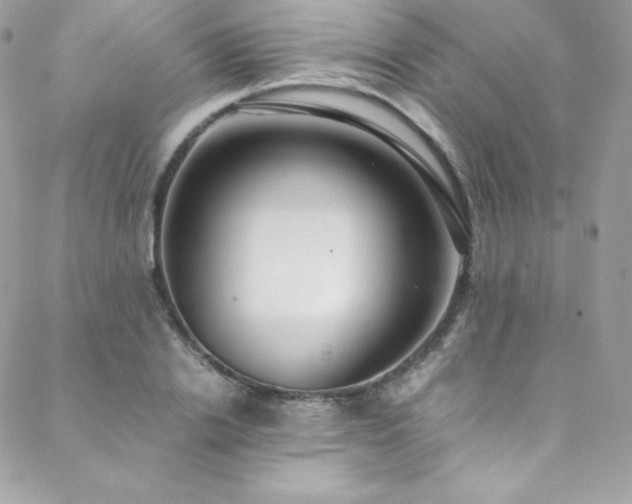 X0000089460838200706151432