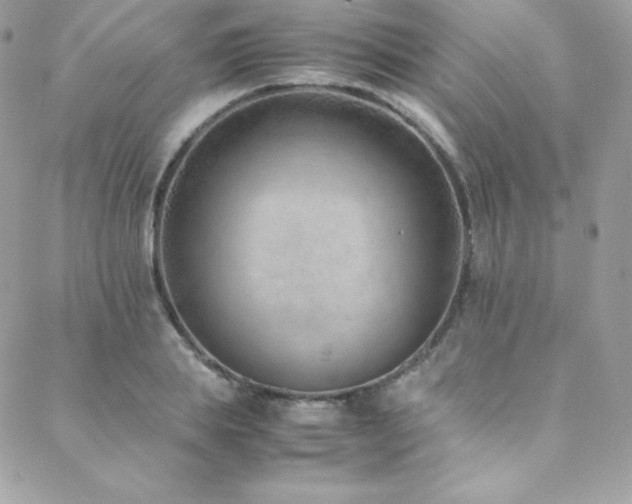 X0000089460839200706151432