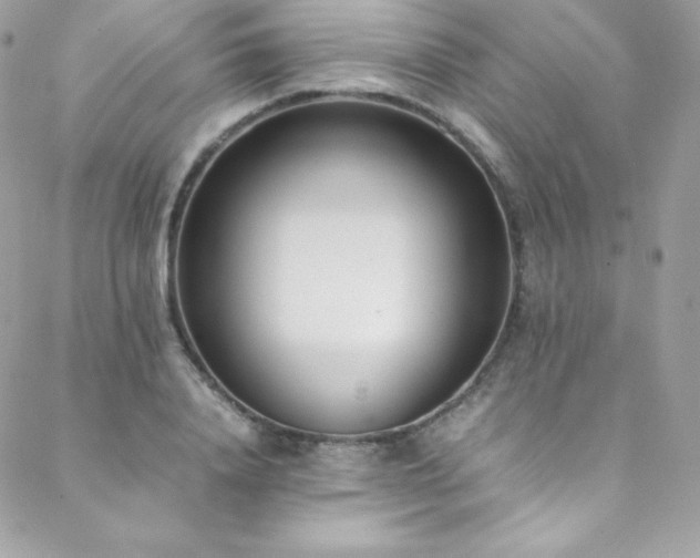 X0000089460840200706151432