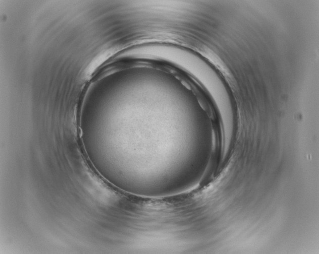 X0000089460842200706151432