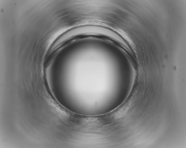 X0000089460846200706151432