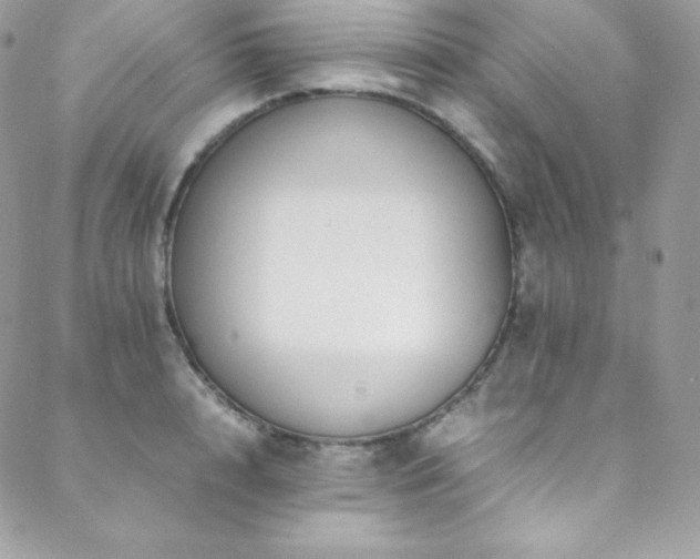 X0000089460848200706151432