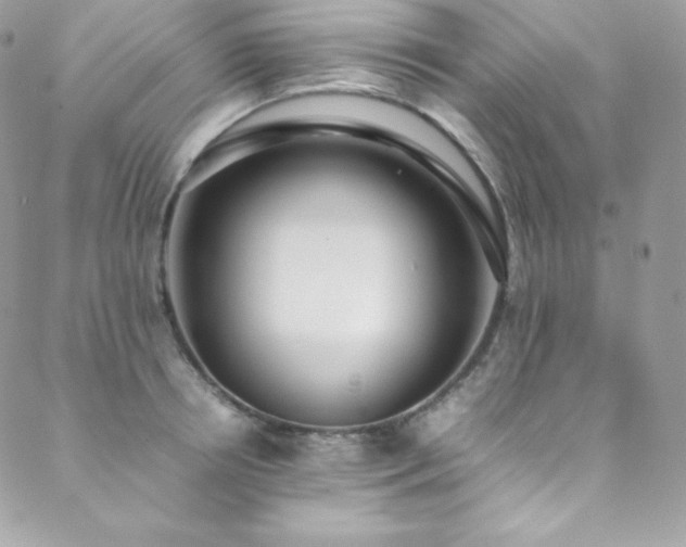 X0000089460850200706151432