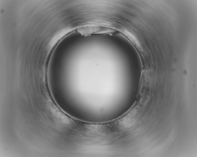 X0000089460854200706151432