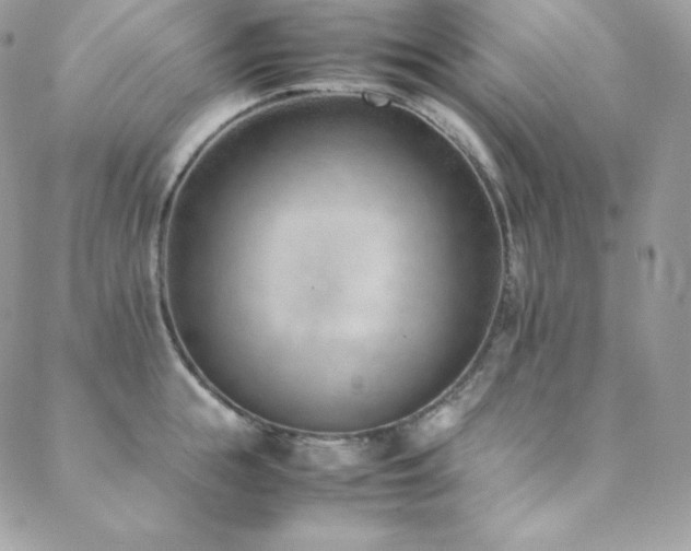 X0000089460855200706151432