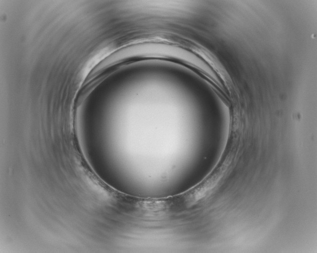 X0000089460858200706151432
