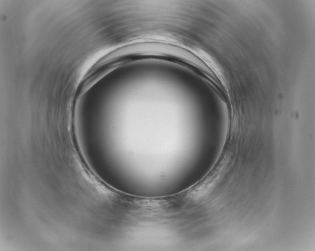 X0000089460862200706151432