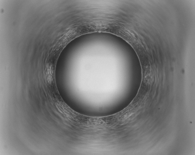X0000089460866200706151431