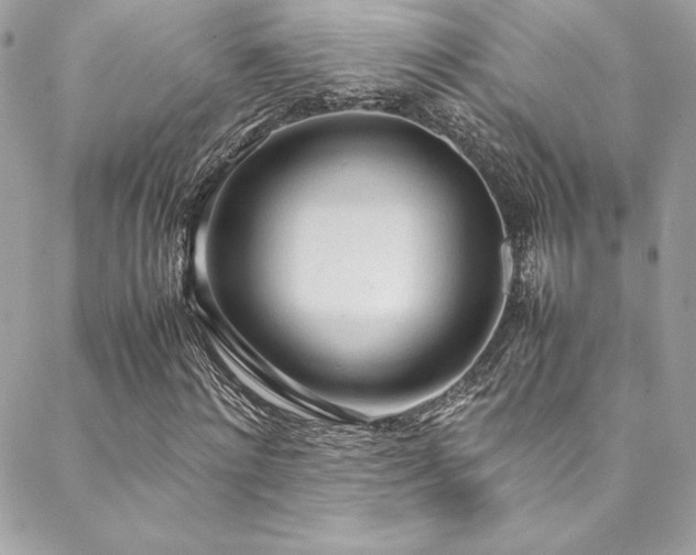 X0000089460868200706151431