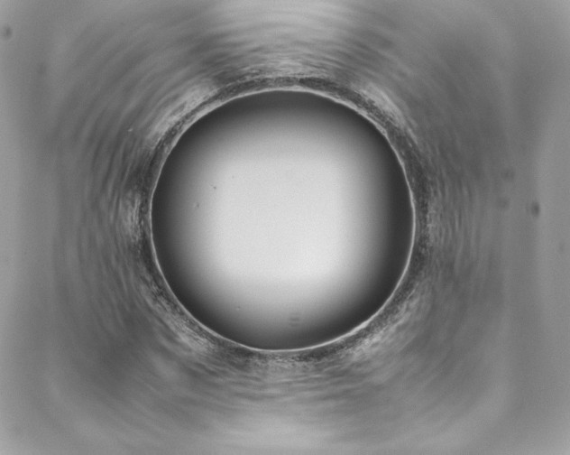 X0000089460873200706151431