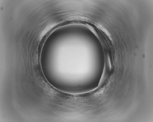 X0000089460877200706151431